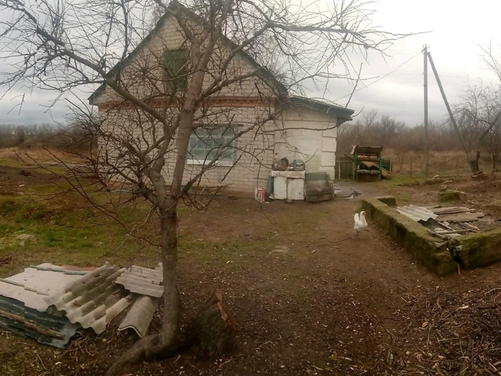 Продается одноэтажный дом 38.5 кв. м с подвалом, цена: 4500 $ - фото 1