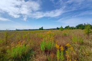 Продажа участка под жилую застройку, Винницкая, Зарванцы