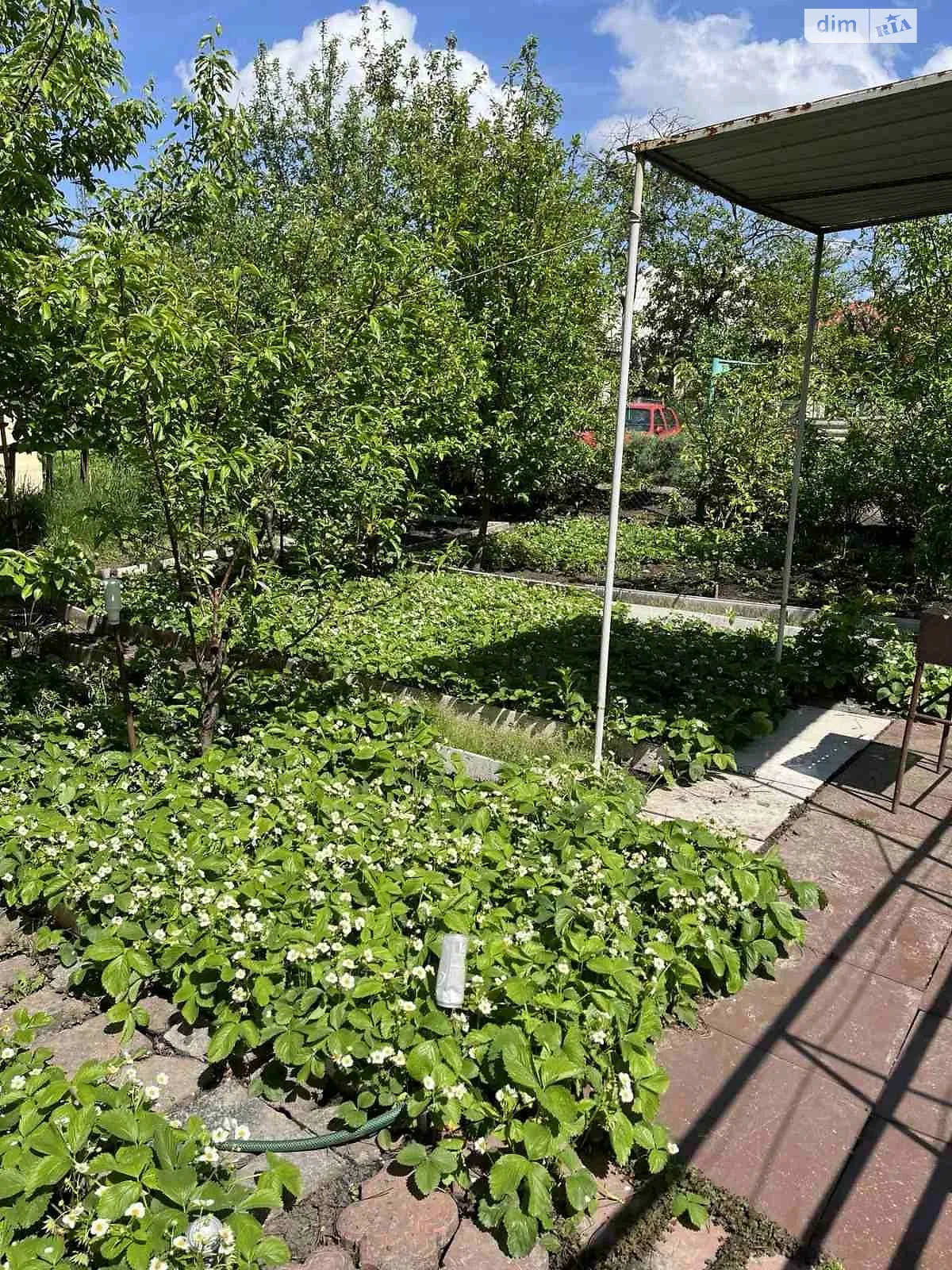 Таромське Дніпро, цена: 32000 $ - фото 1