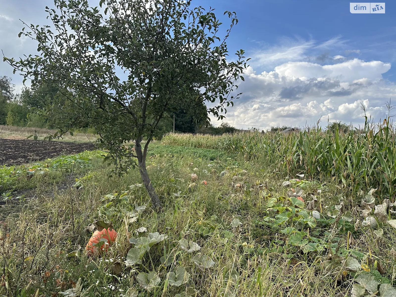 ул. Полевая Литин, цена: 10500 $ - фото 1