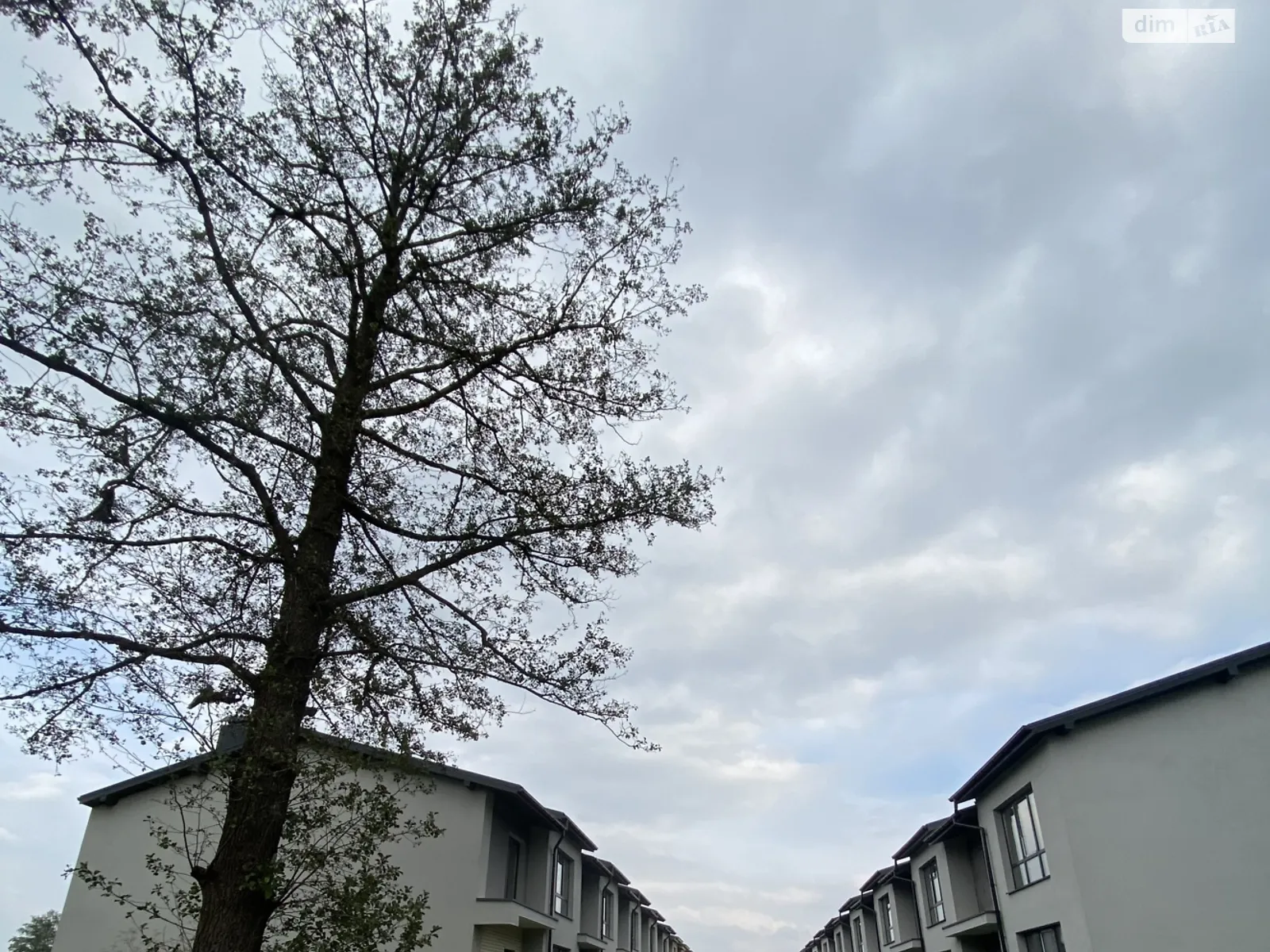 Опришовцы Ивано-Франковск, цена: 58898 $ - фото 1