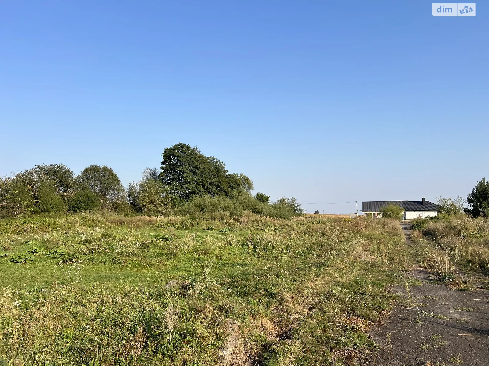 пухова Александрия, цена: 7500 $ - фото 1