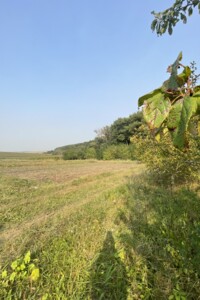 Продажа земли сельскохозяйственного назначения, Хмельницкий, р‑н. Лезневое