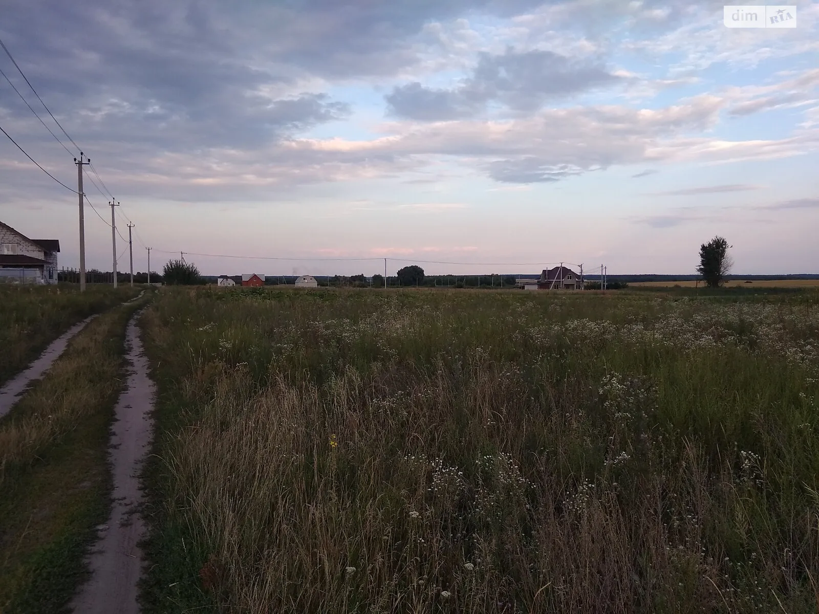 Продається земельна ділянка 20 соток у Житомирській області, цена: 2000 $ - фото 1