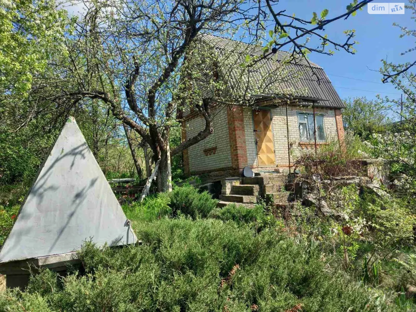 ромашка Вінницькі Хутори, цена: 10000 $ - фото 1