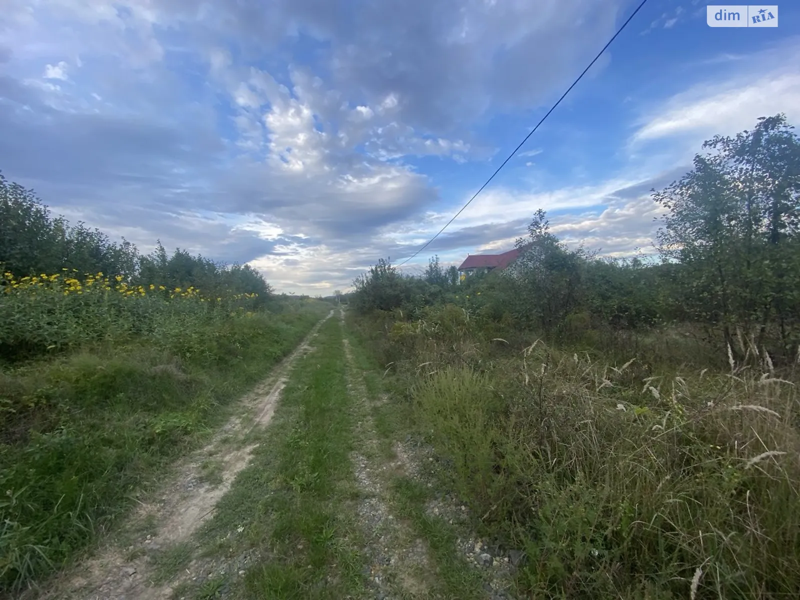 Продається земельна ділянка 12.5 соток у Закарпатській області, цена: 10000 $ - фото 1