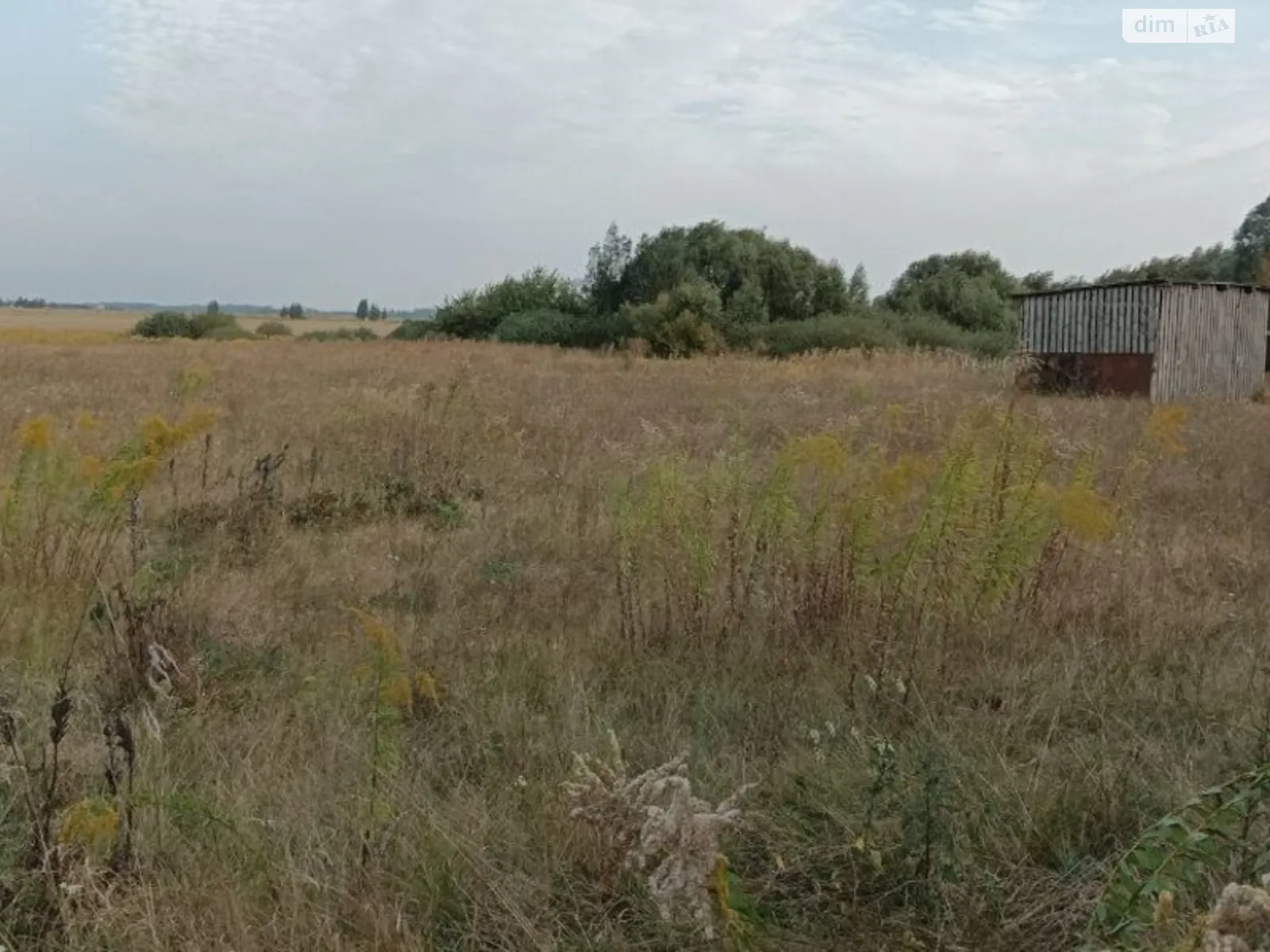 Продається земельна ділянка 40 соток у Житомирській області, цена: 12000 $ - фото 1