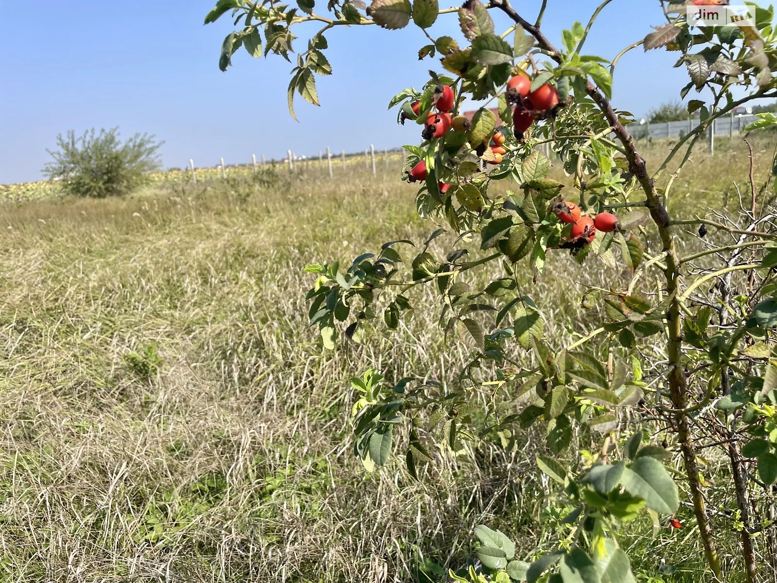 вул. 1-а лінія СОГ Ветеран Молодіжне, цена: 9000 $ - фото 1
