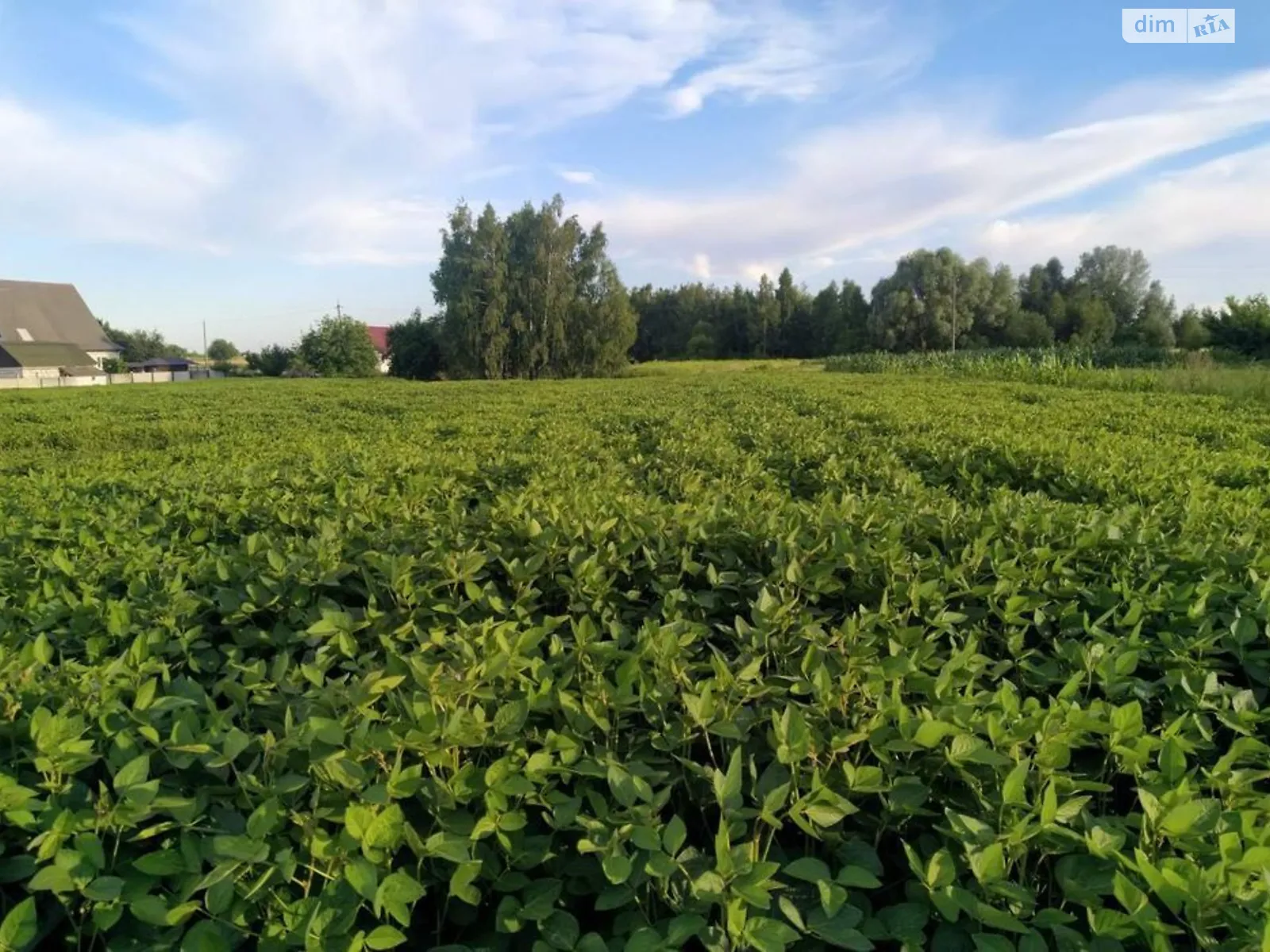 Продається одноповерховий будинок 131.7 кв. м з садом, Ніжинський район - фото 1