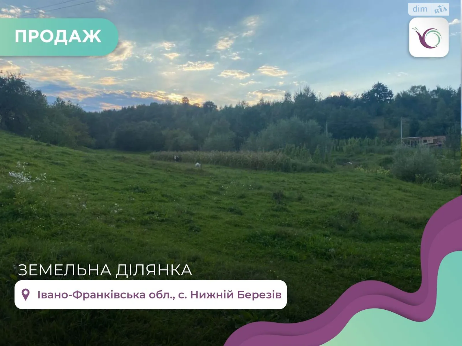 Продається земельна ділянка 20 соток у Івано-Франківській області, цена: 10500 $ - фото 1