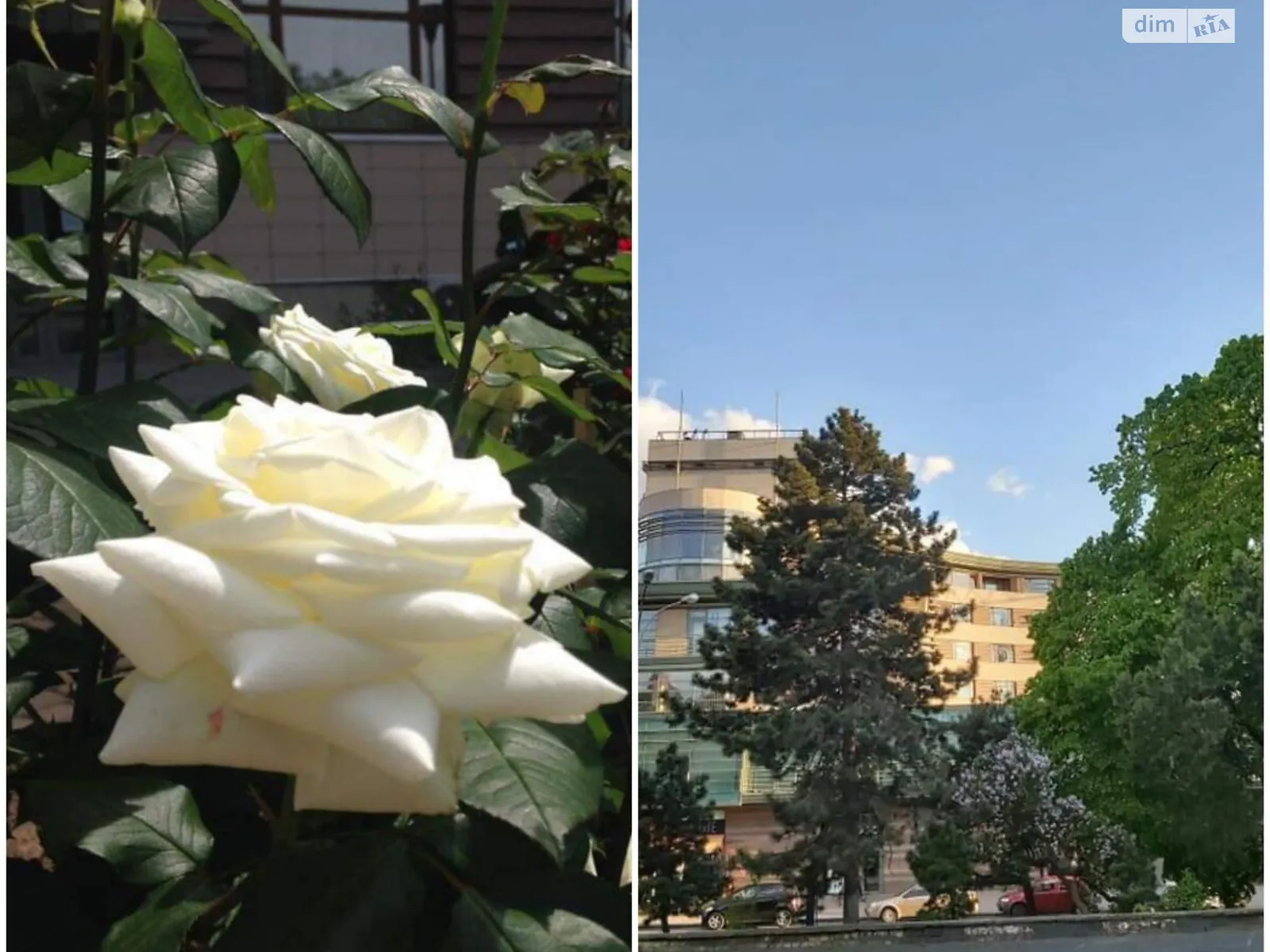 Сдается в аренду 2-комнатная квартира 101.5 кв. м в Ужгороде, пл. Жупанатская, 1 - фото 1