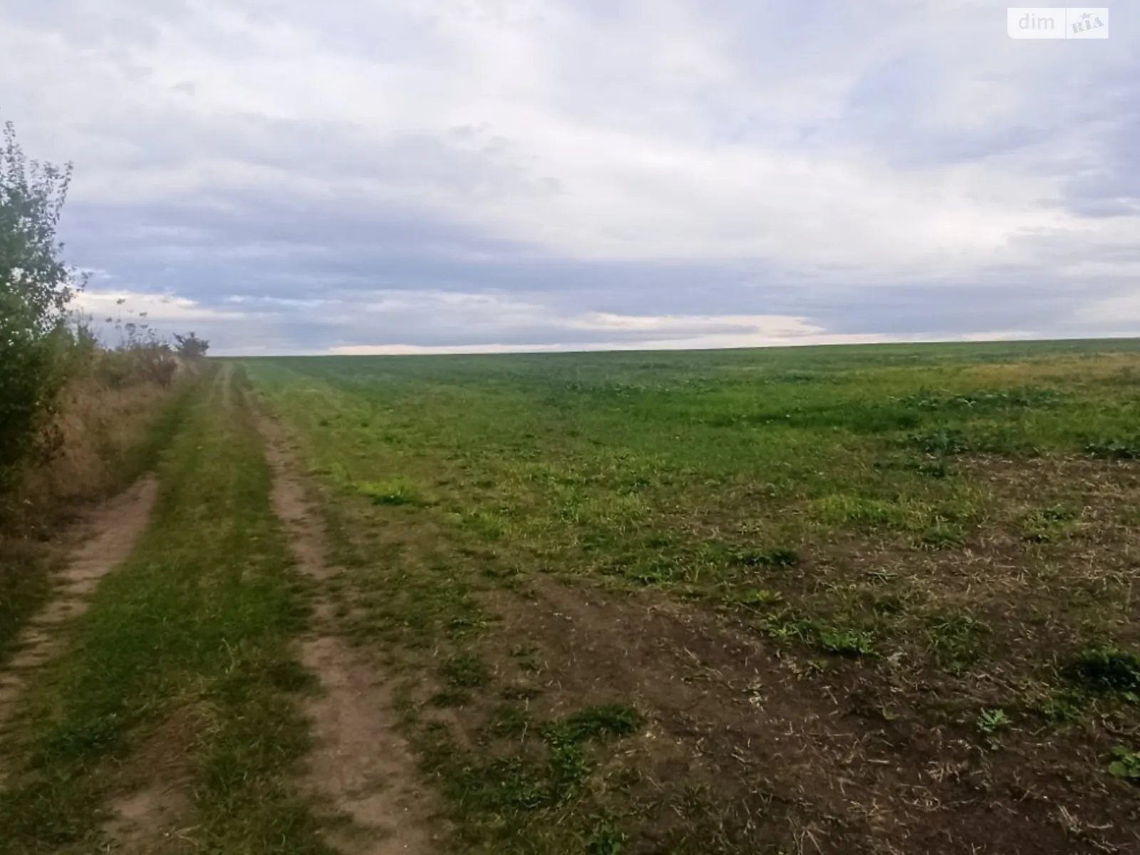 Продається земельна ділянка 30 соток у Хмельницькій області, цена: 5000 $ - фото 1