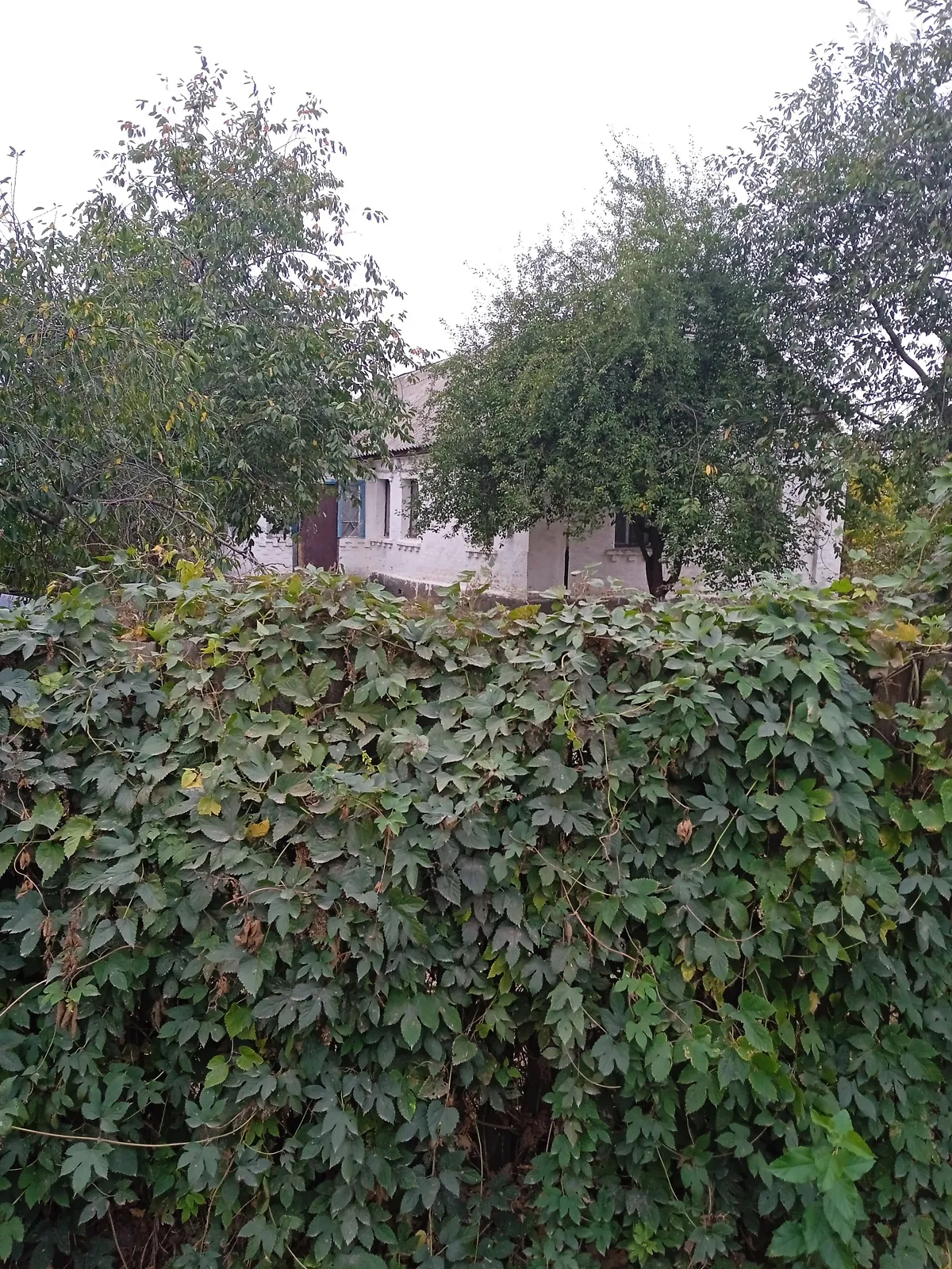 Продається одноповерховий будинок 50 кв. м з верандою, цена: 24000 $ - фото 1