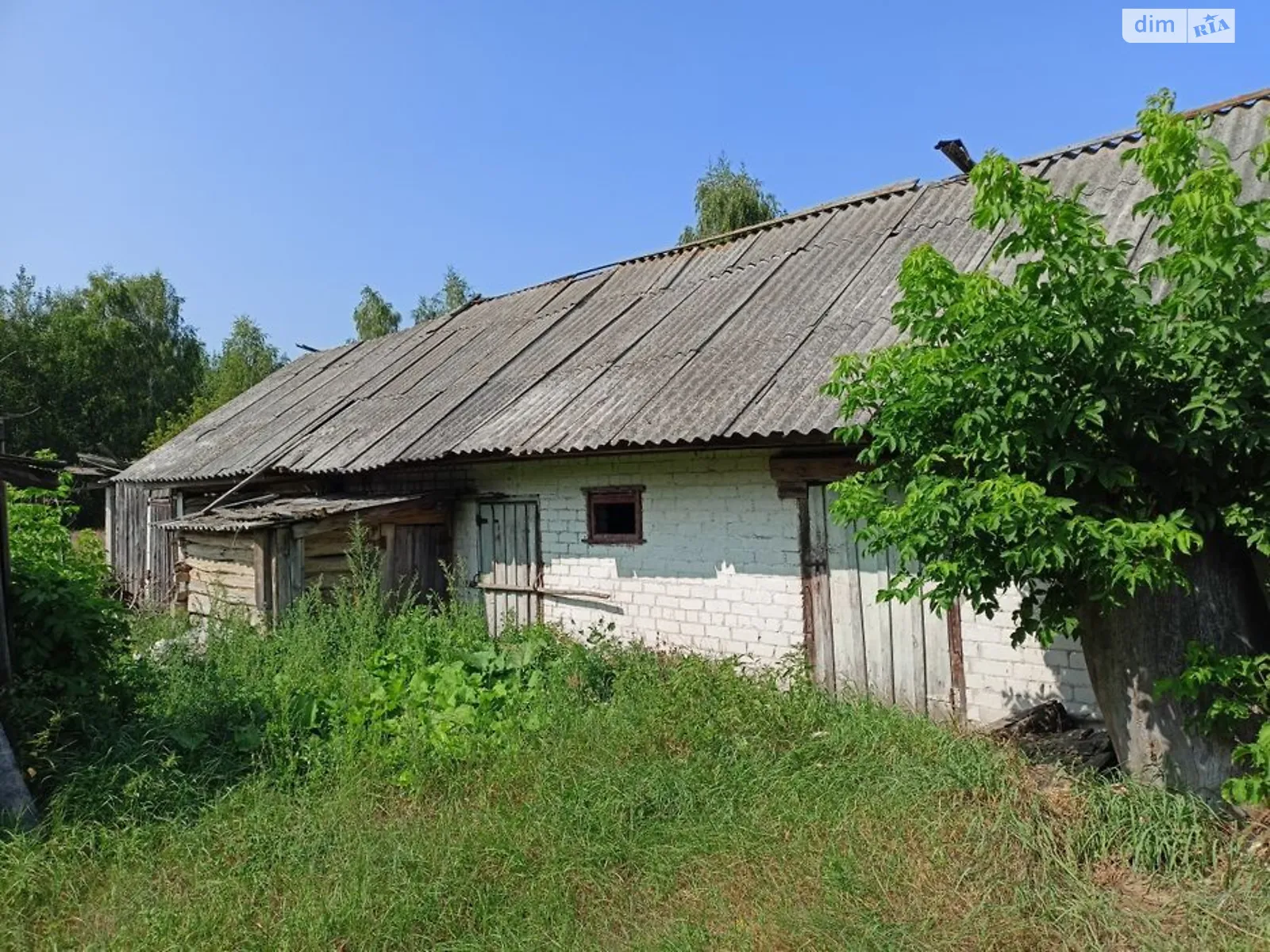 вул. Центральна(Попудренко) Нові Млини (Щорс) - фото 2