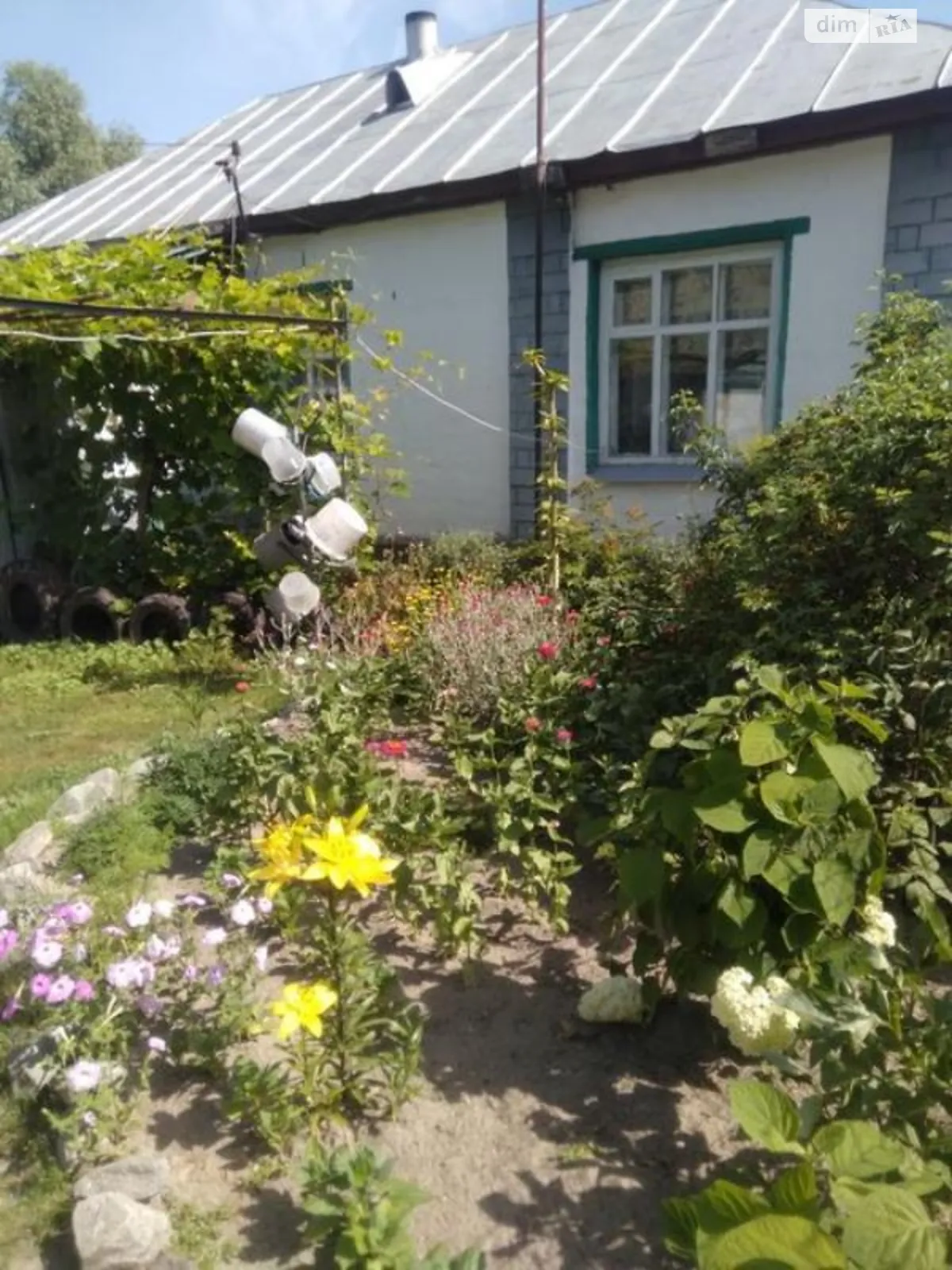 Продается одноэтажный дом 64 кв. м с подвалом, цена: 5500 $ - фото 1