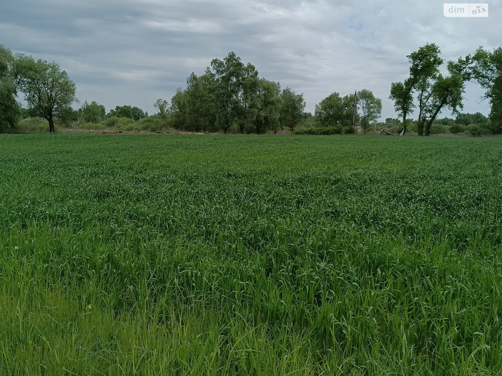 вул. Лугова Требухів, цена: 22000 $ - фото 1