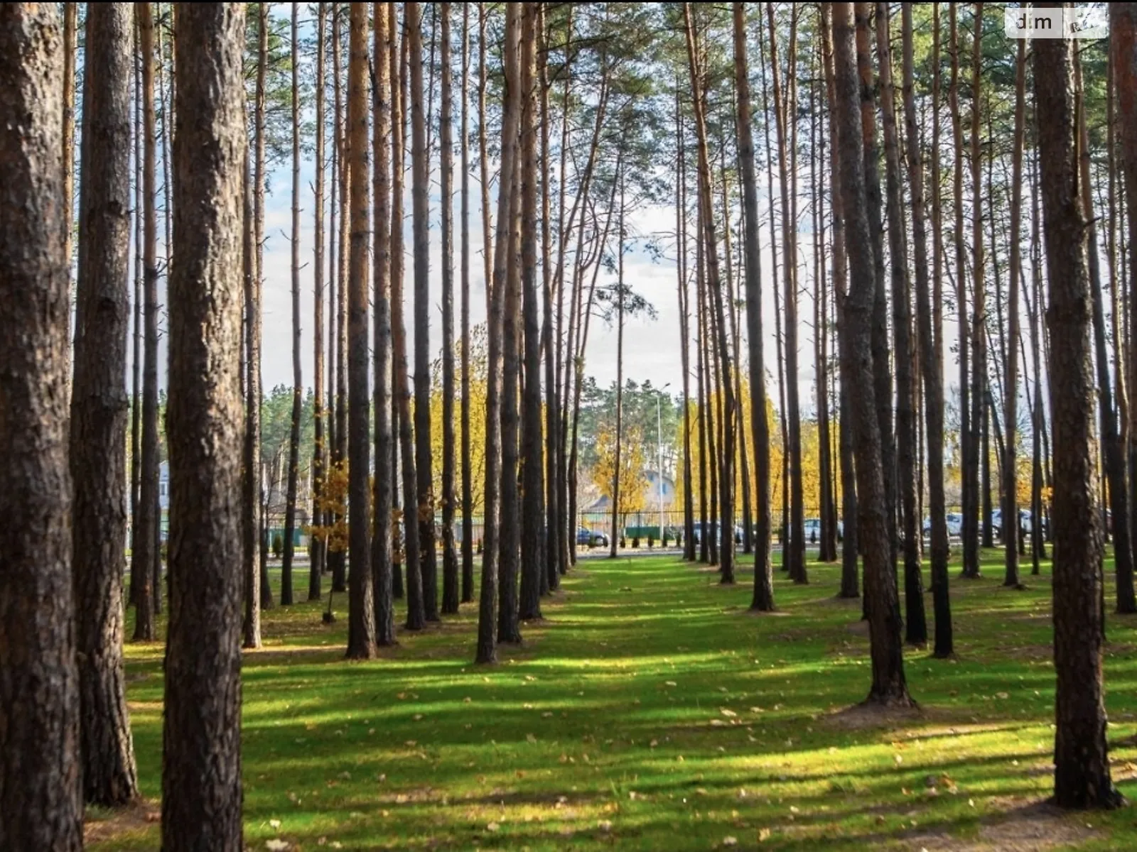 Продается 1-комнатная квартира 36.5 кв. м в Гостомеле, ул. Соборная, 1 - фото 1