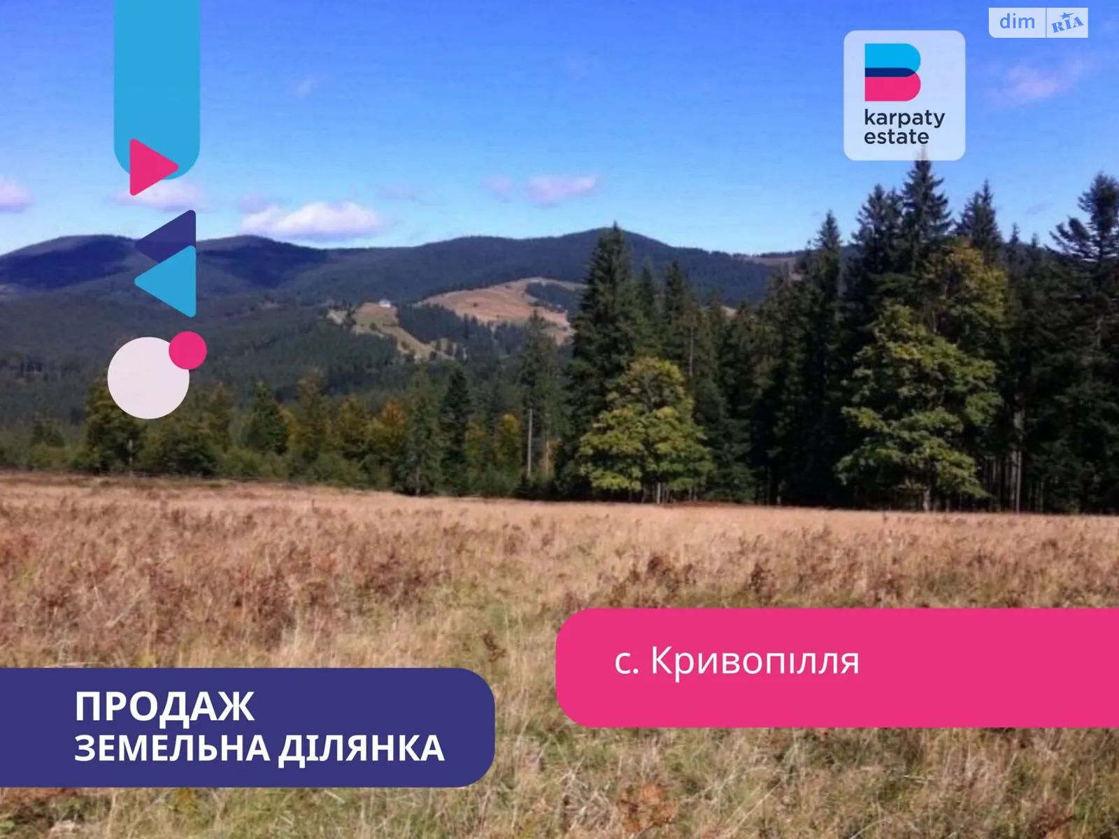 Продается земельный участок 100 соток в Ивано-Франковской области, цена: 110000 $ - фото 1