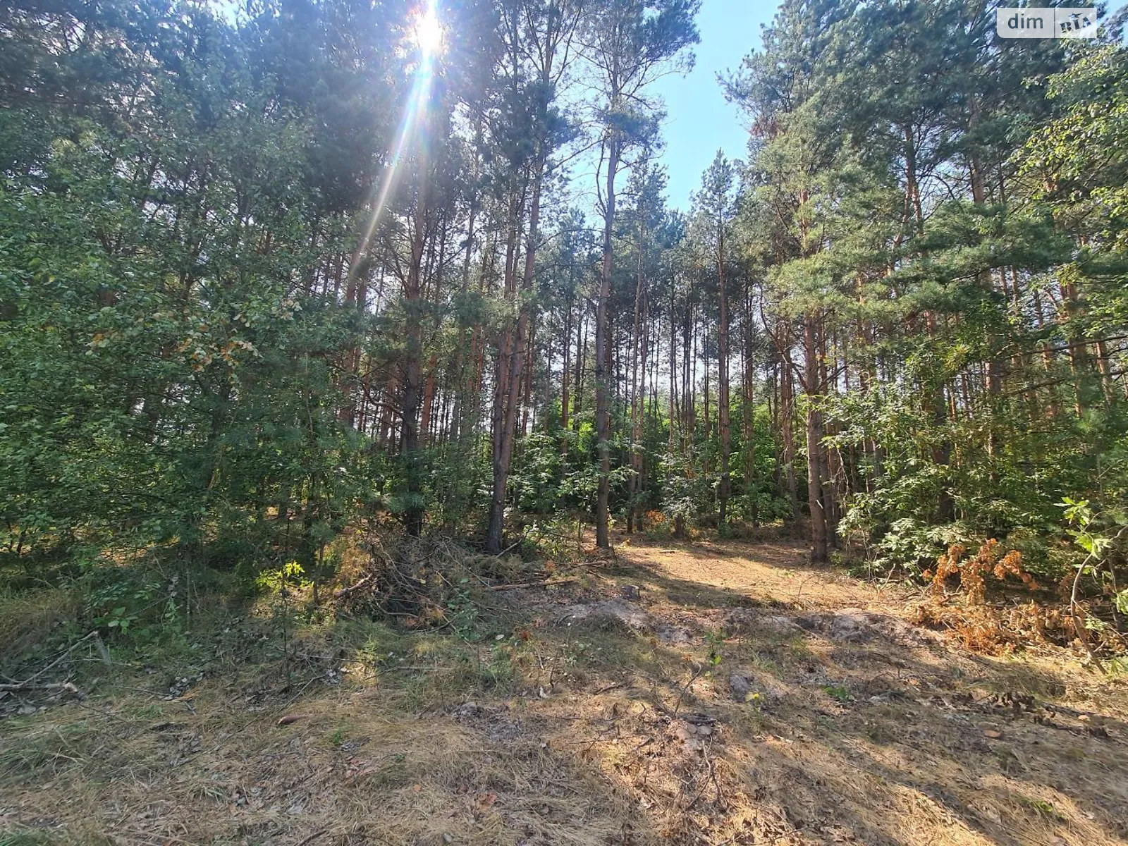 Яблоновка (Макаров), цена: 37500 $ - фото 1