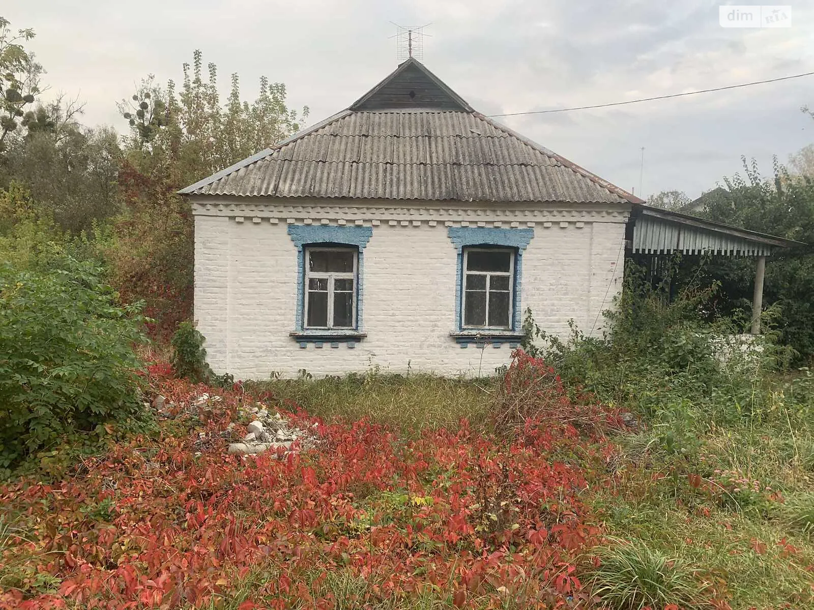 Продается одноэтажный дом 82.2 кв. м с мансардой, цена: 50000 $ - фото 1
