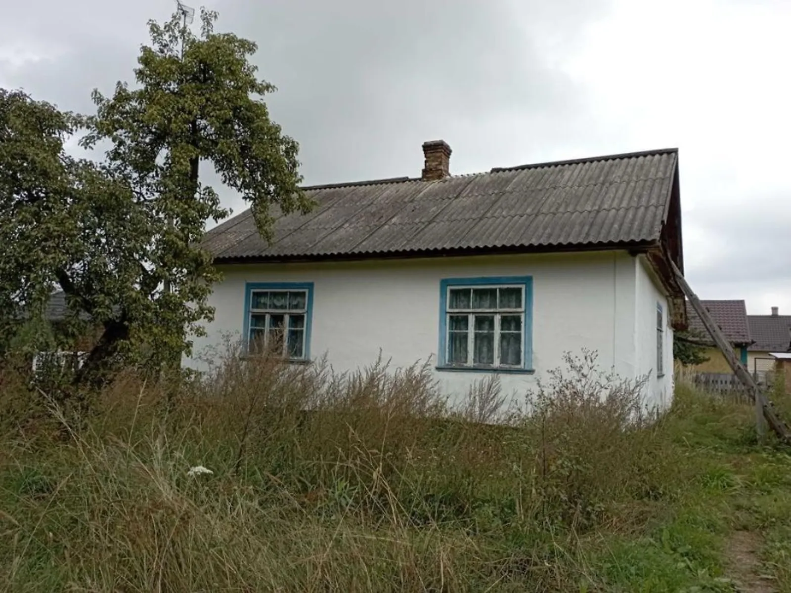 Продається одноповерховий будинок 45 кв. м з каміном, цена: 10000 $ - фото 1