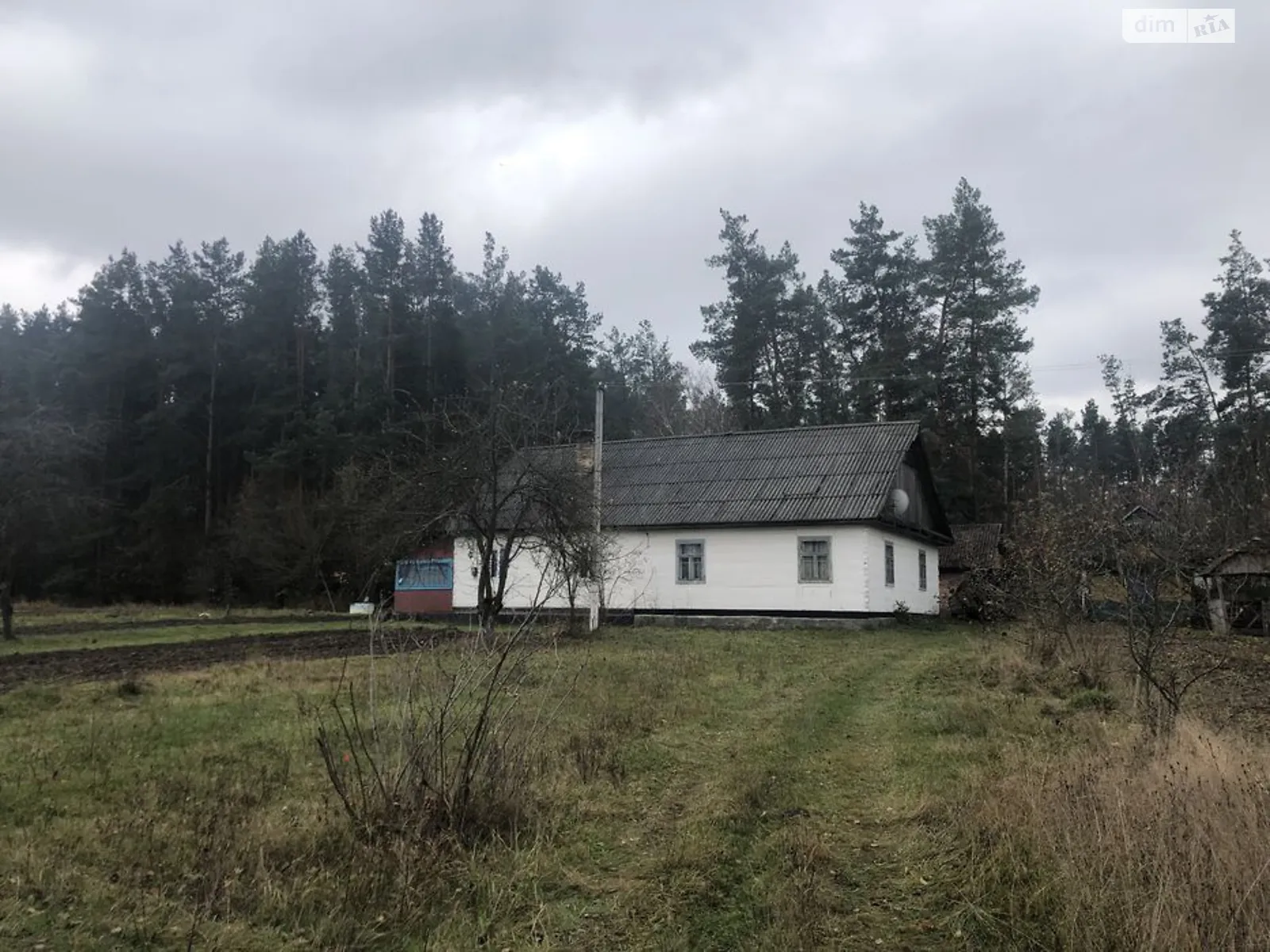 ул. Шевченко Сосновое, цена: 6000 $ - фото 1