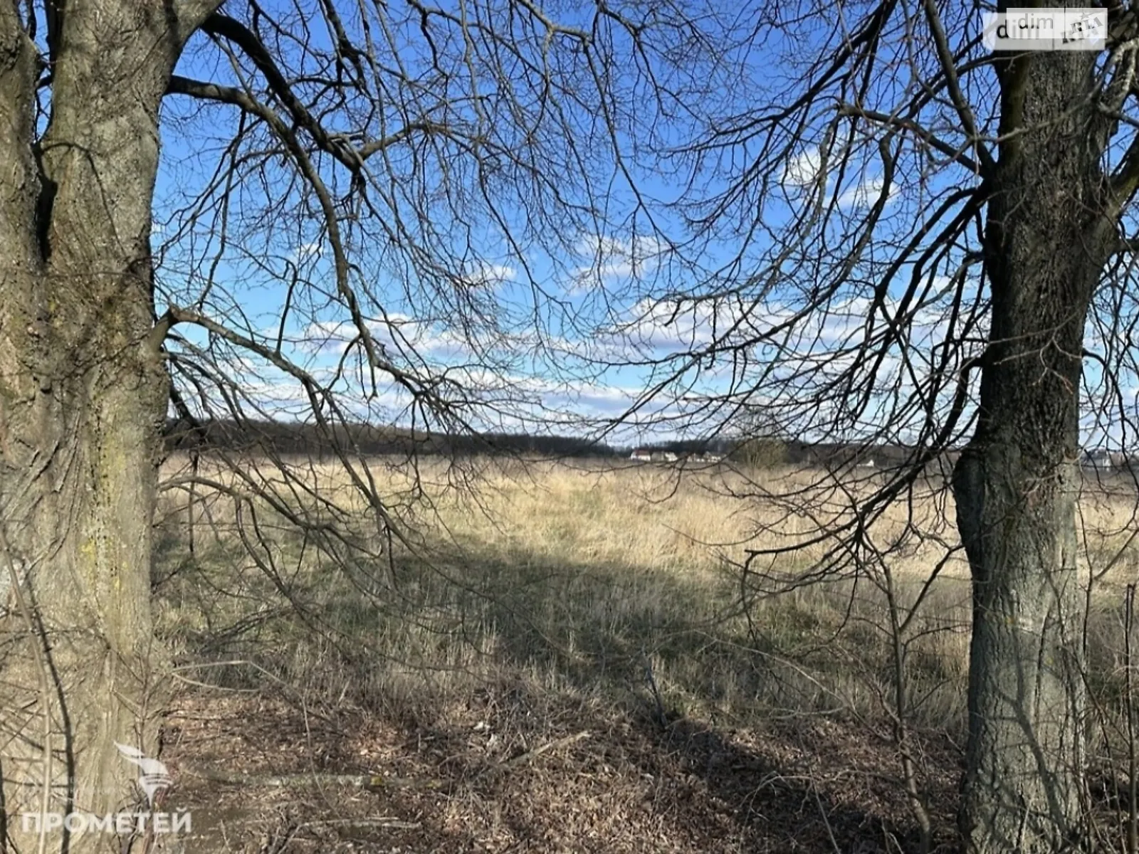 Продается земельный участок 23.29 соток в Винницкой области, цена: 11000 $ - фото 1