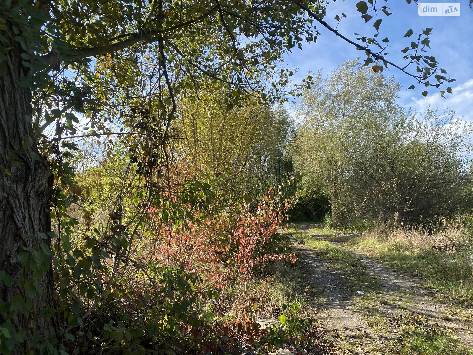Замостянський Вінниця, цена: 40000 $ - фото 1