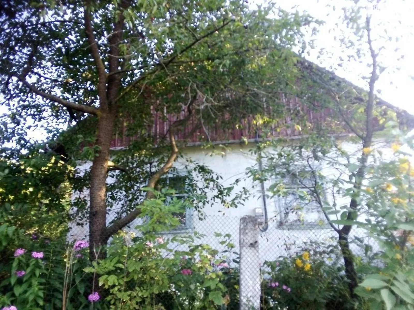Продается одноэтажный дом 74.9 кв. м с подвалом, цена: 35000 $ - фото 1