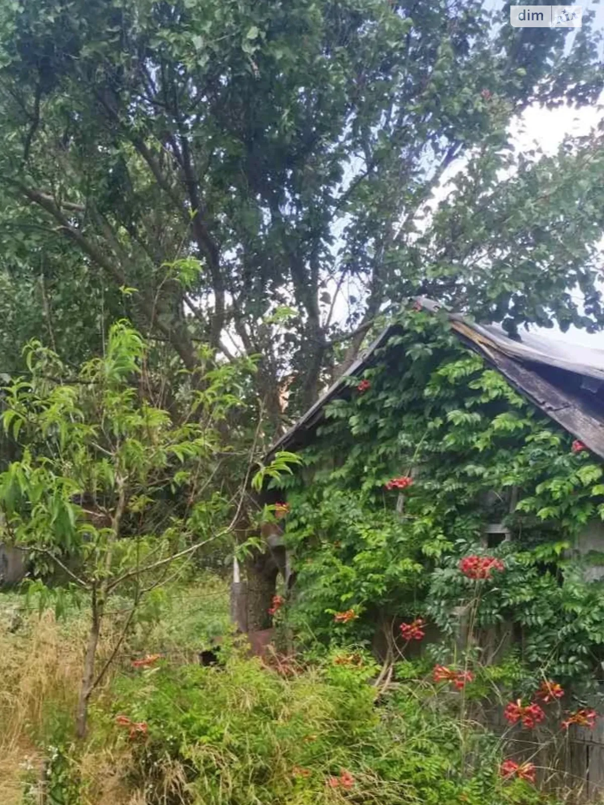 Продается земельный участок 5 соток в Винницкой области, цена: 1000 $ - фото 1