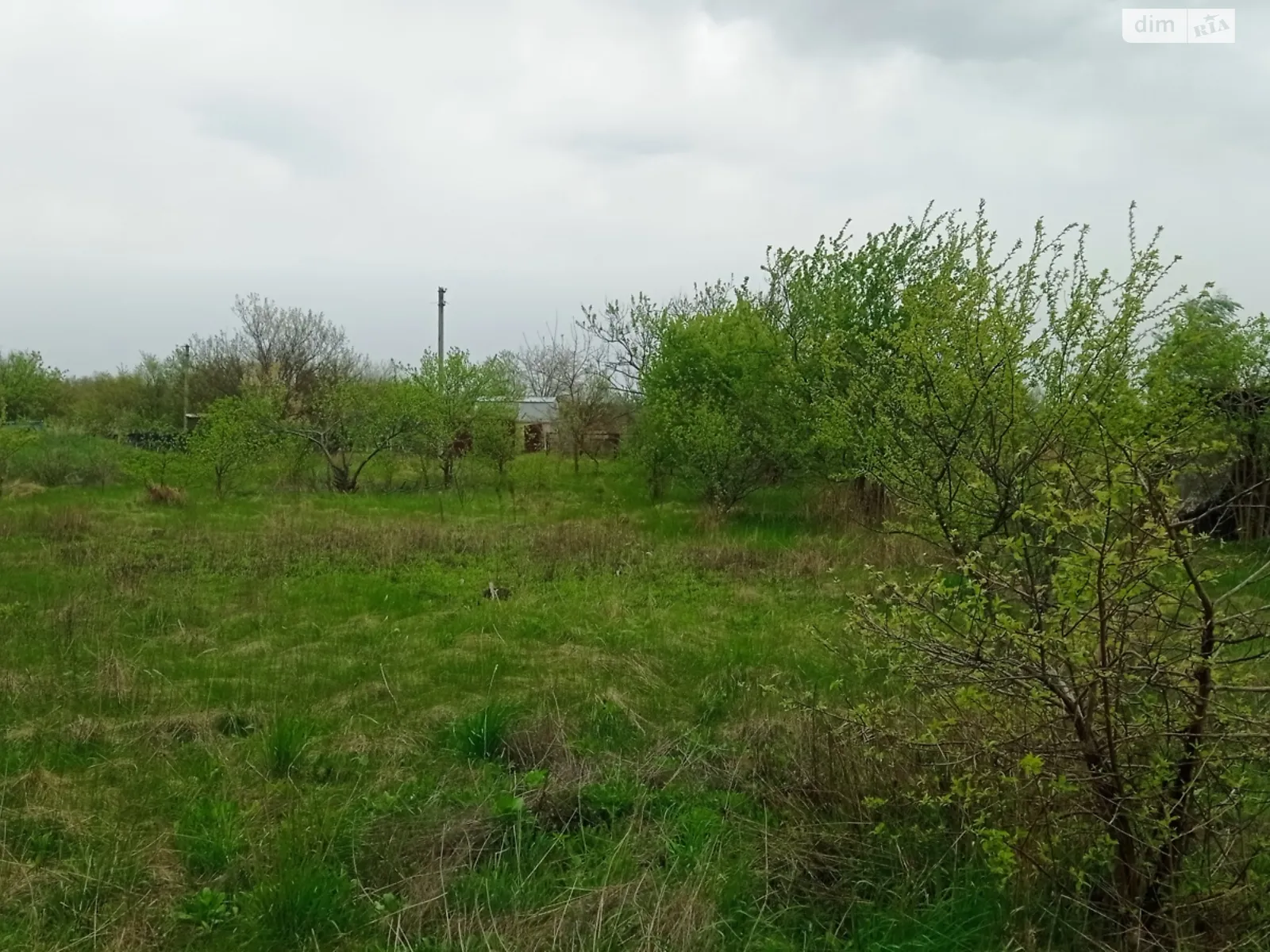 Продается земельный участок 15 соток в Полтавской области, цена: 3600 $ - фото 1