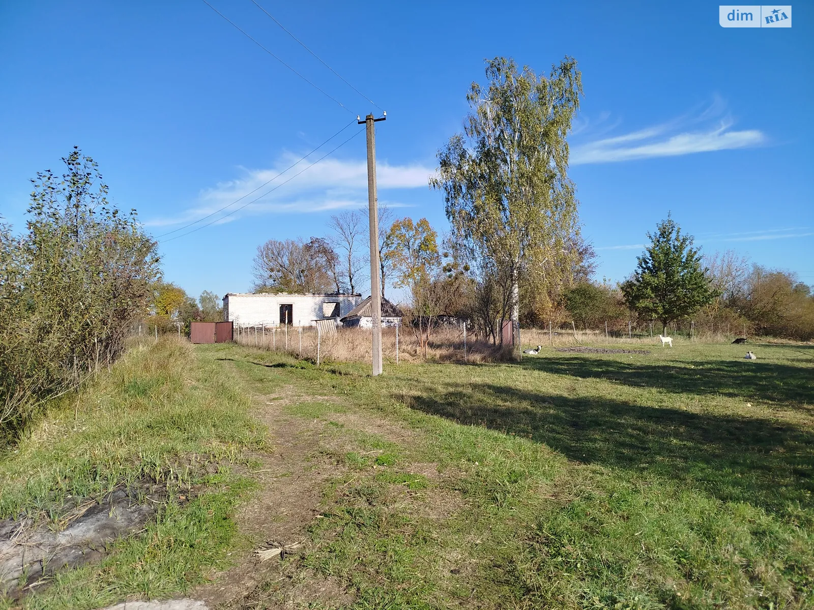 Продается земельный участок 31 соток в Винницкой области, цена: 9500 $ - фото 1
