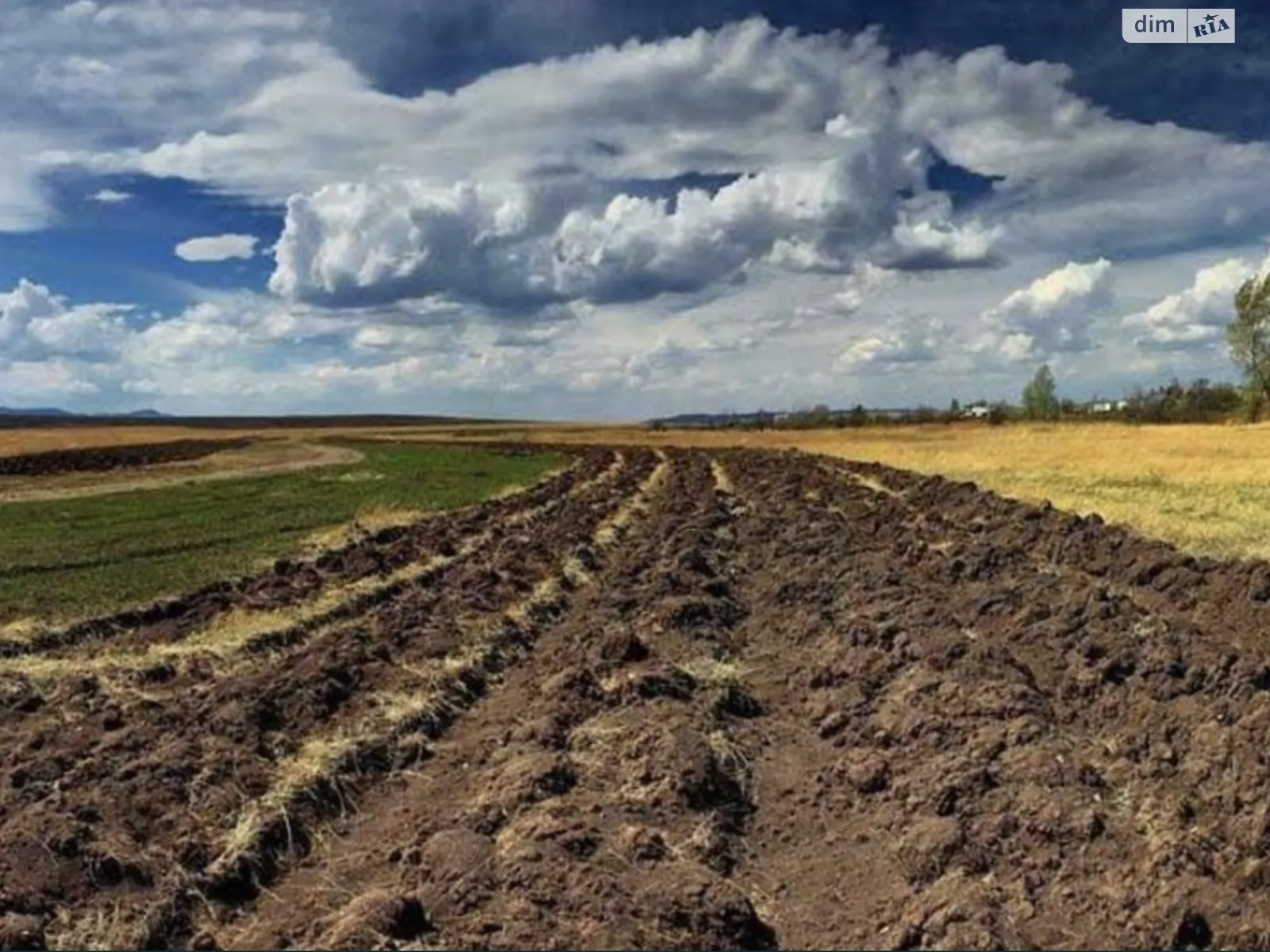 Продається земельна ділянка 140 соток у Волинській області, цена: 80500 $ - фото 1
