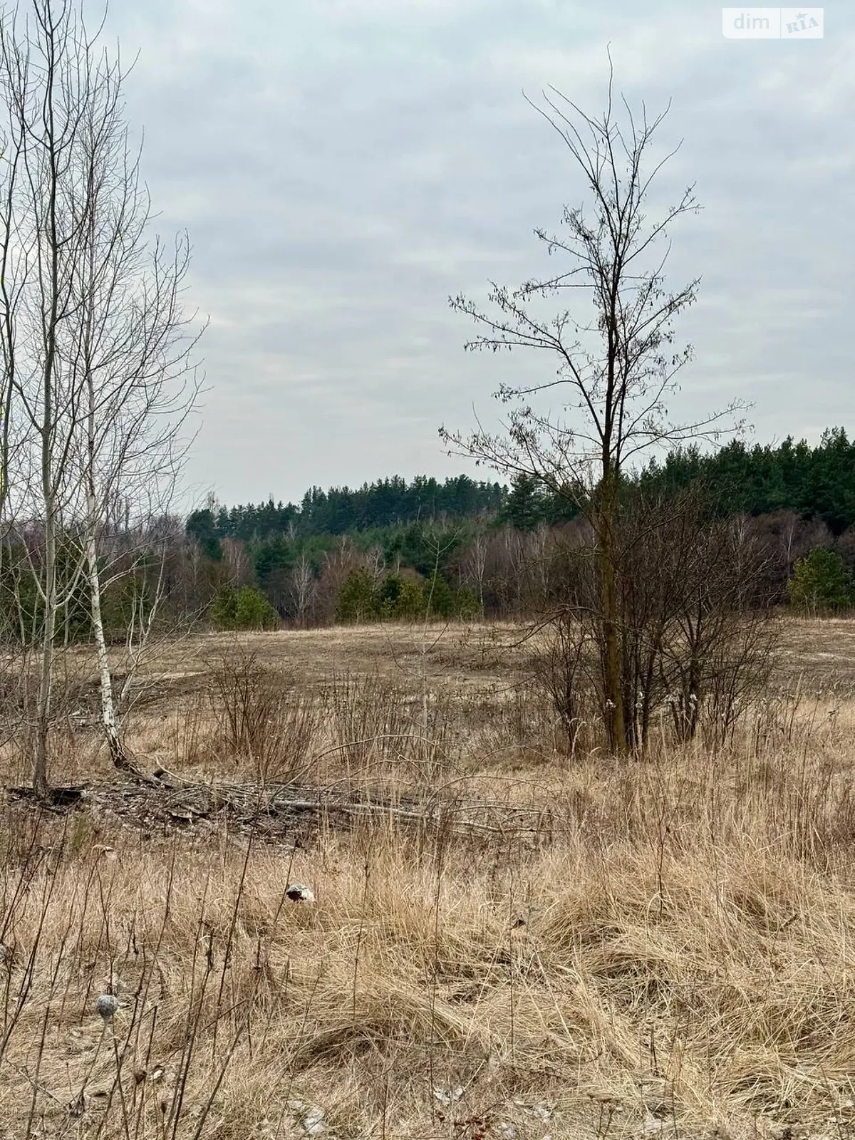 вул. Черешнева Гореничі, цена: 46000 $ - фото 1