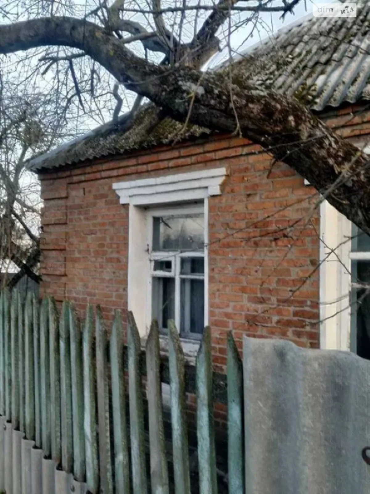 Продається одноповерховий будинок 49 кв. м з подвалом, цена: 6500 $ - фото 1