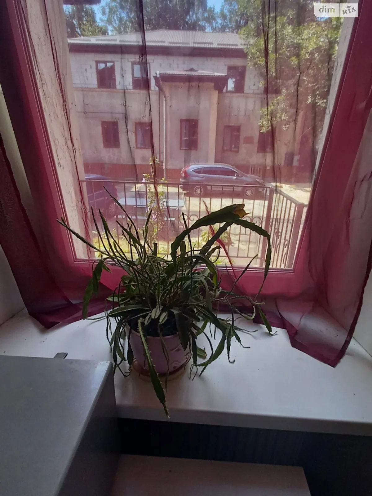 Здається в оренду 1-кімнатна квартира 20 кв. м у Львові, вул. Федьковича, 13 - фото 1