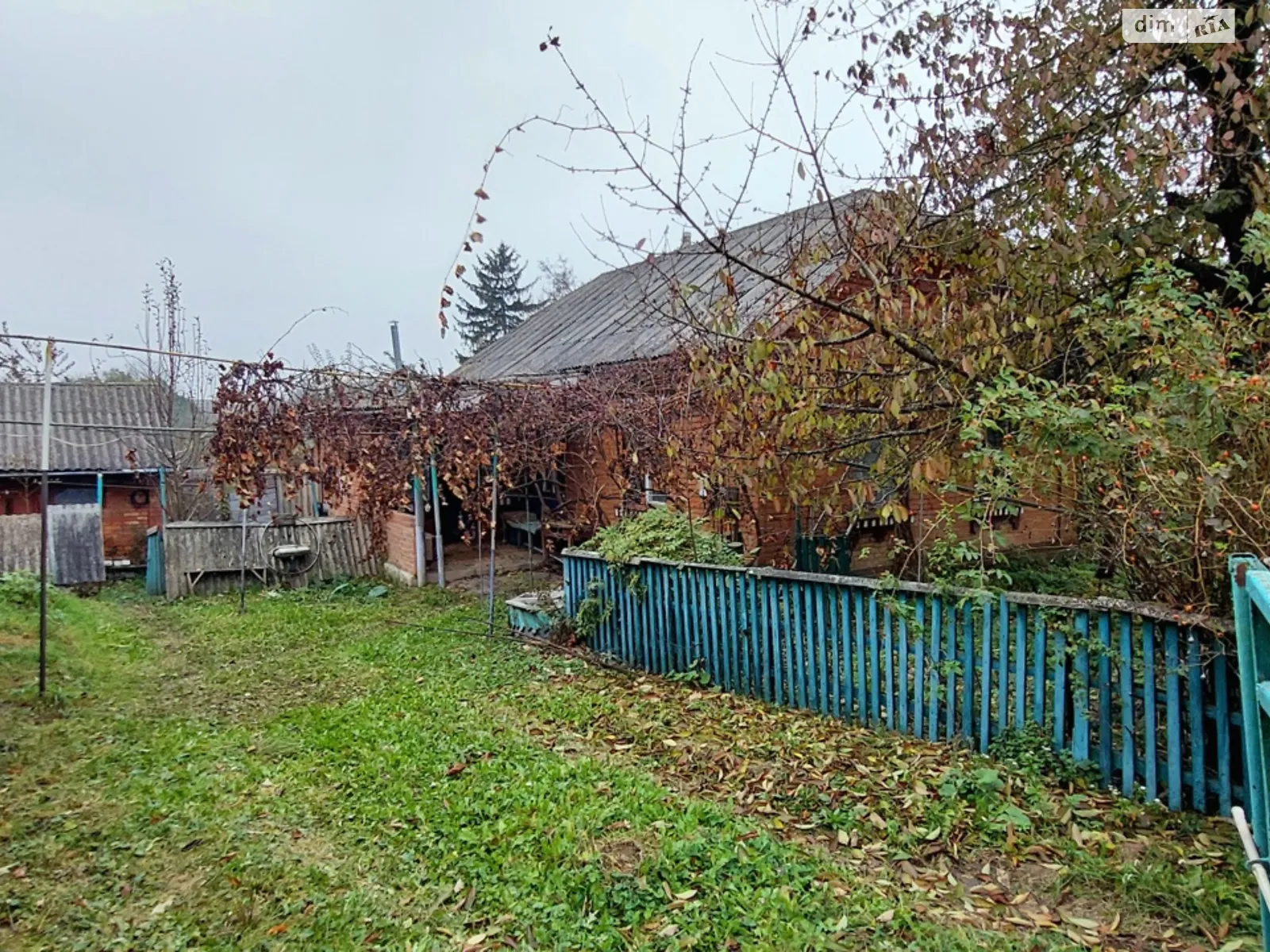 Продается одноэтажный дом 69 кв. м с верандой, цена: 10000 $ - фото 1