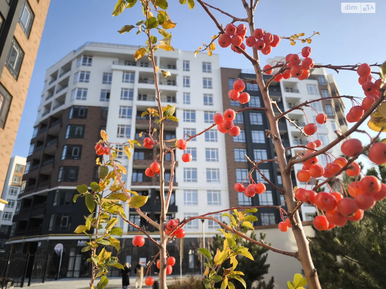 Продається 1-кімнатна квартира 37.72 кв. м у Ірпені, вул. Ольги Кобилянської(Достоєвського), 1В/26 - фото 1
