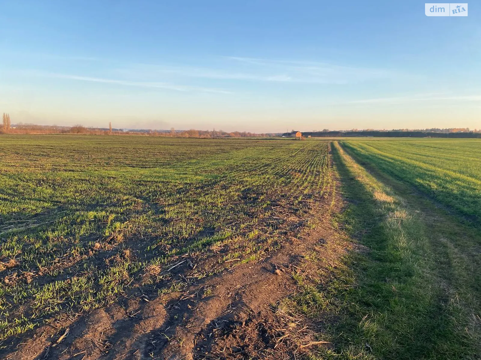 Ильковка, цена: 21000 $ - фото 1