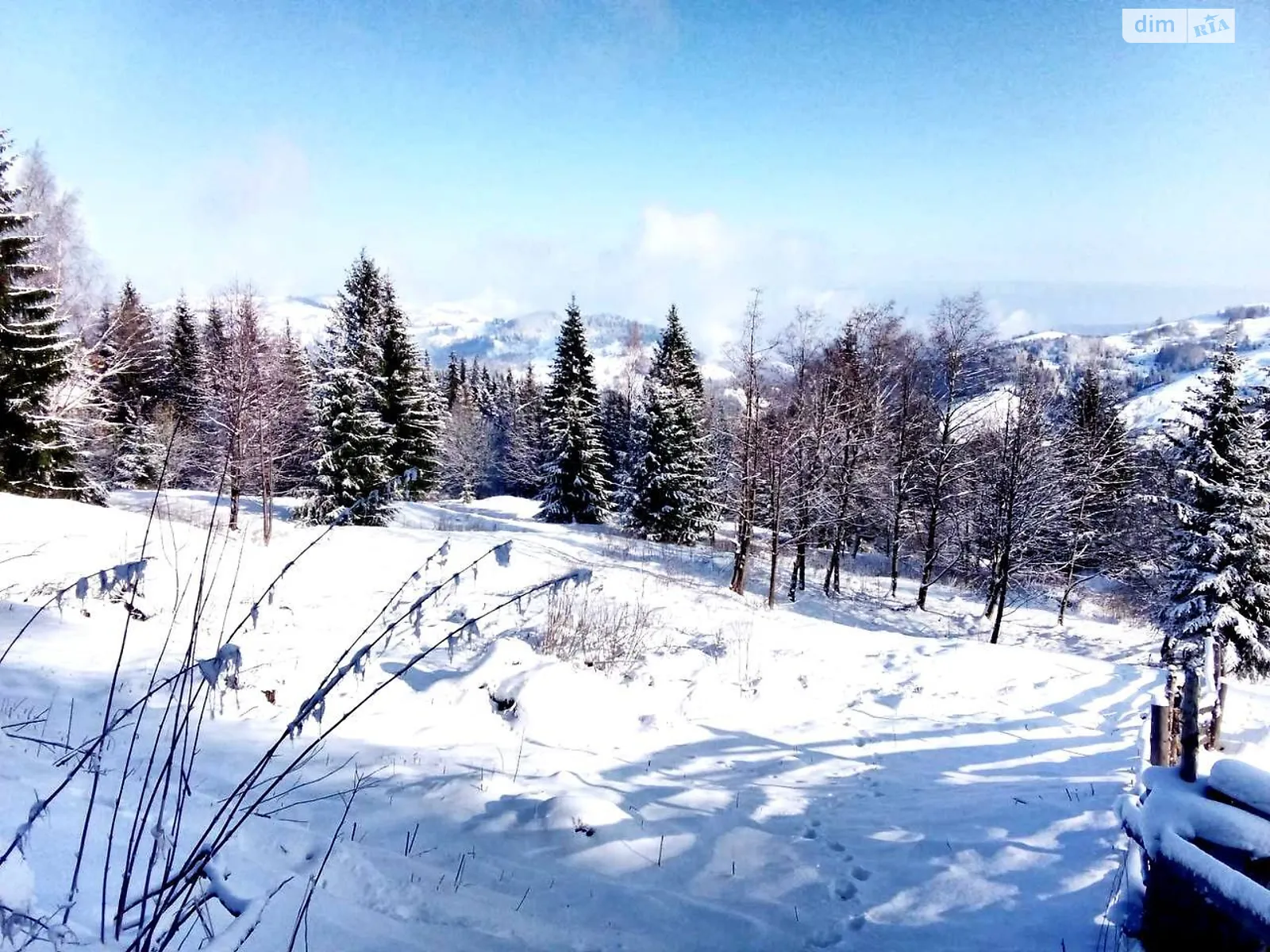 Продається земельна ділянка 70 соток у Івано-Франківській області, цена: 55000 $ - фото 1