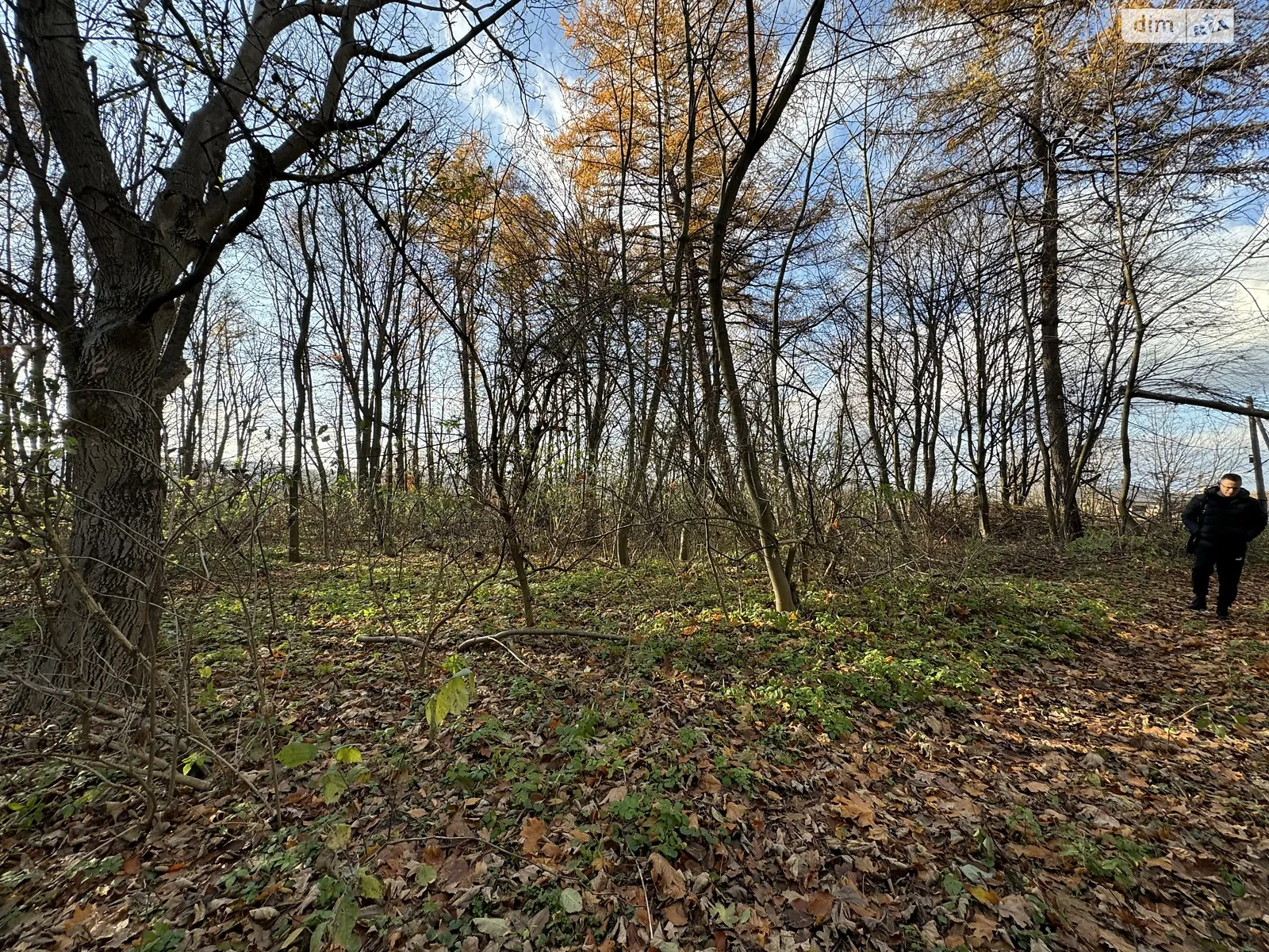 Продається земельна ділянка 33 соток у Тернопільській області, цена: 145000 $ - фото 1