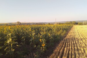 Купить землю под застройку в Днепропетровской области