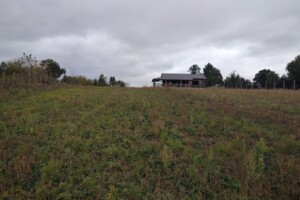 Продаж ділянки під житлову забудову, Вінницька, Панасівка