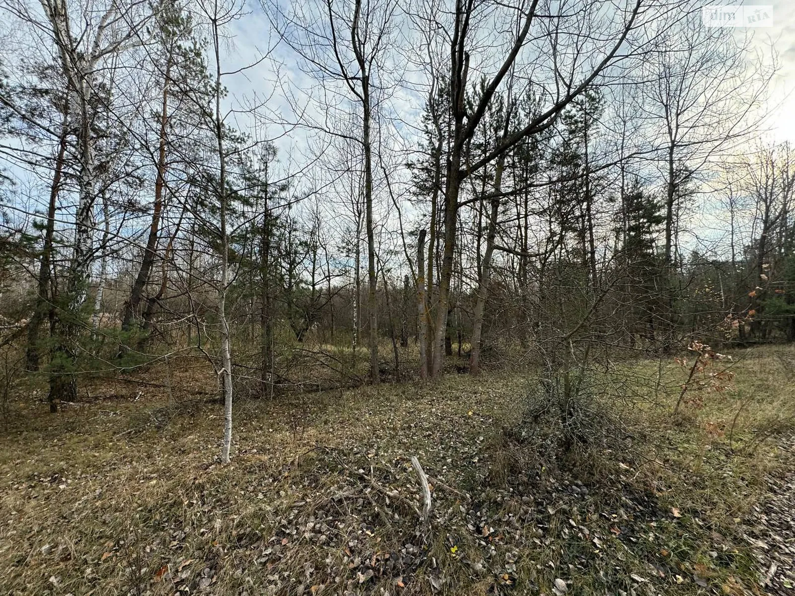 Продается земельный участок 100 соток в Киевской области, цена: 20000 $ - фото 1