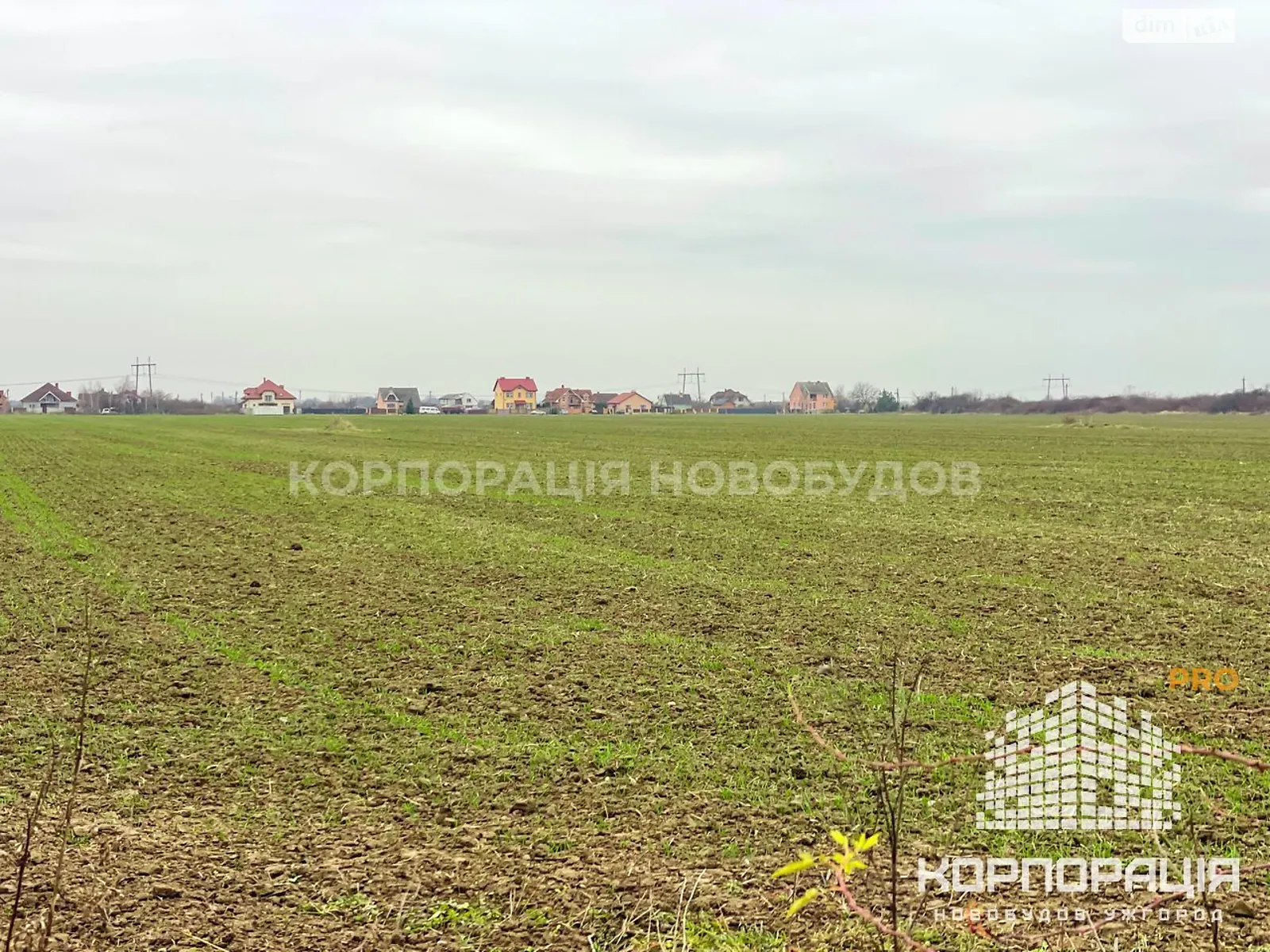 Продается земельный участок 10 соток в Закарпатской области, цена: 15000 $ - фото 1