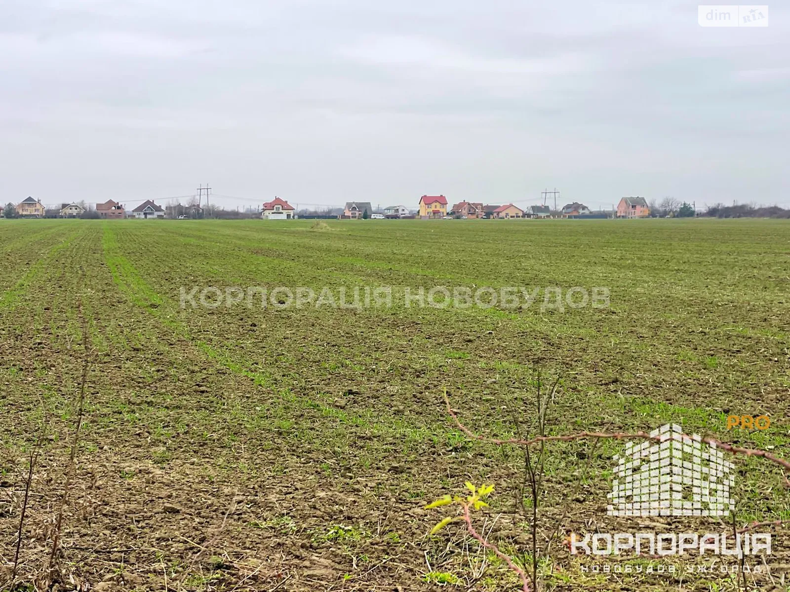Продается земельный участок 6 соток в Закарпатской области, цена: 12000 $ - фото 1