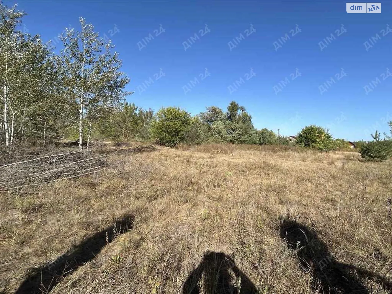Продается земельный участок 9 соток в Полтавской области, цена: 2800 $ - фото 1