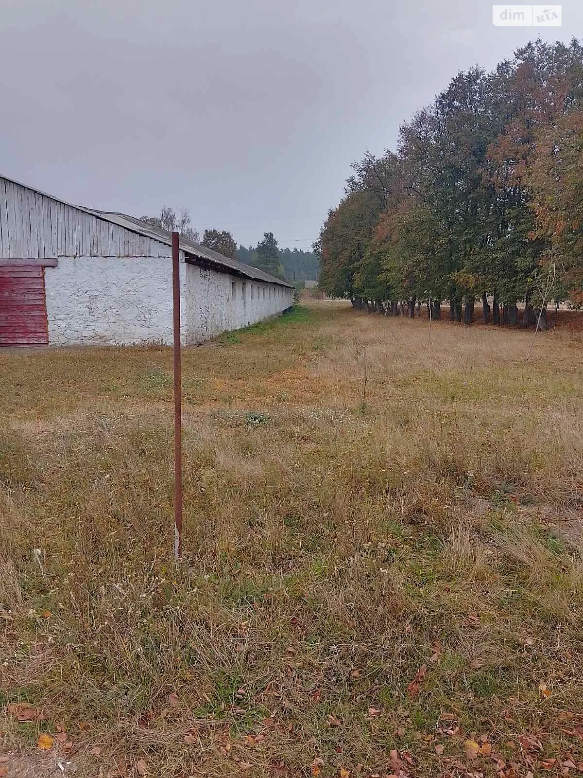 вулиця Центральна Сиваковцы, цена: 65900 $ - фото 1