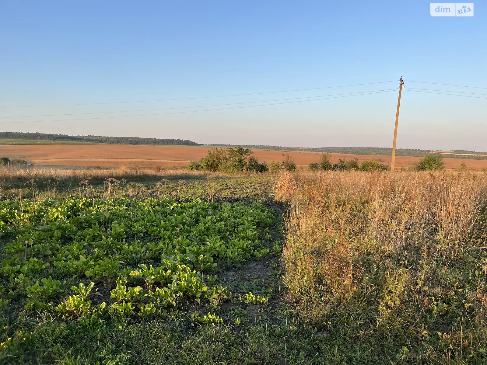 Лесовые Гриновцы, цена: 9500 $ - фото 1