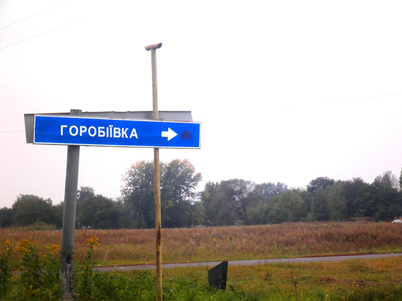 ул. Центральная Горобиевка, цена: 7000 $ - фото 1